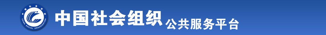 日本美女日P视频全国社会组织信息查询